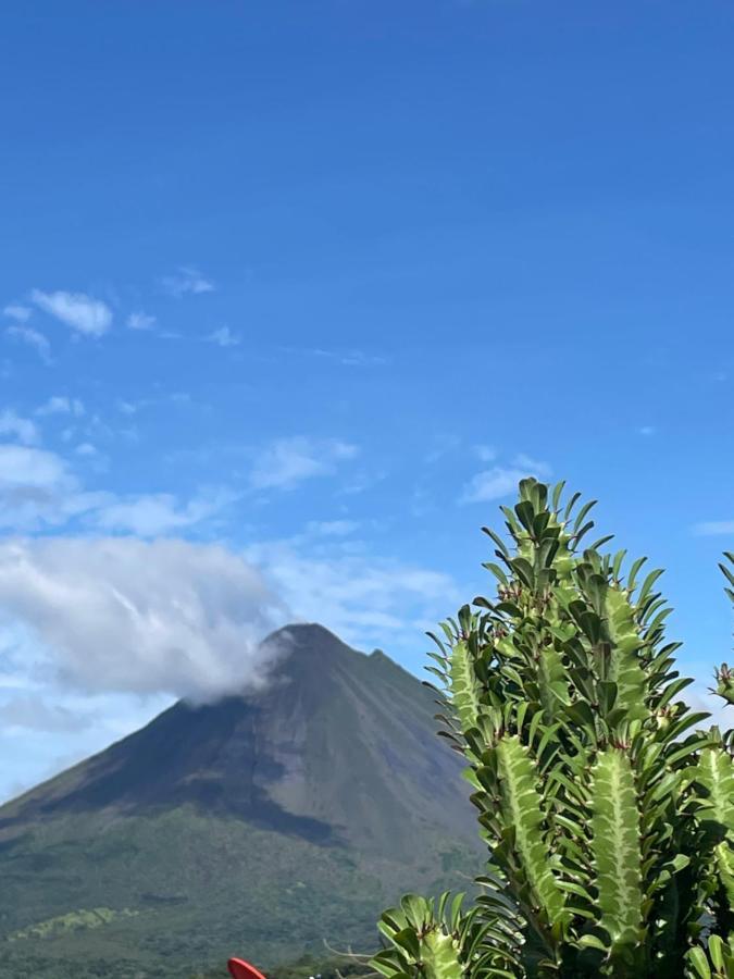 Los Tucanes Lodging El Castillo ภายนอก รูปภาพ